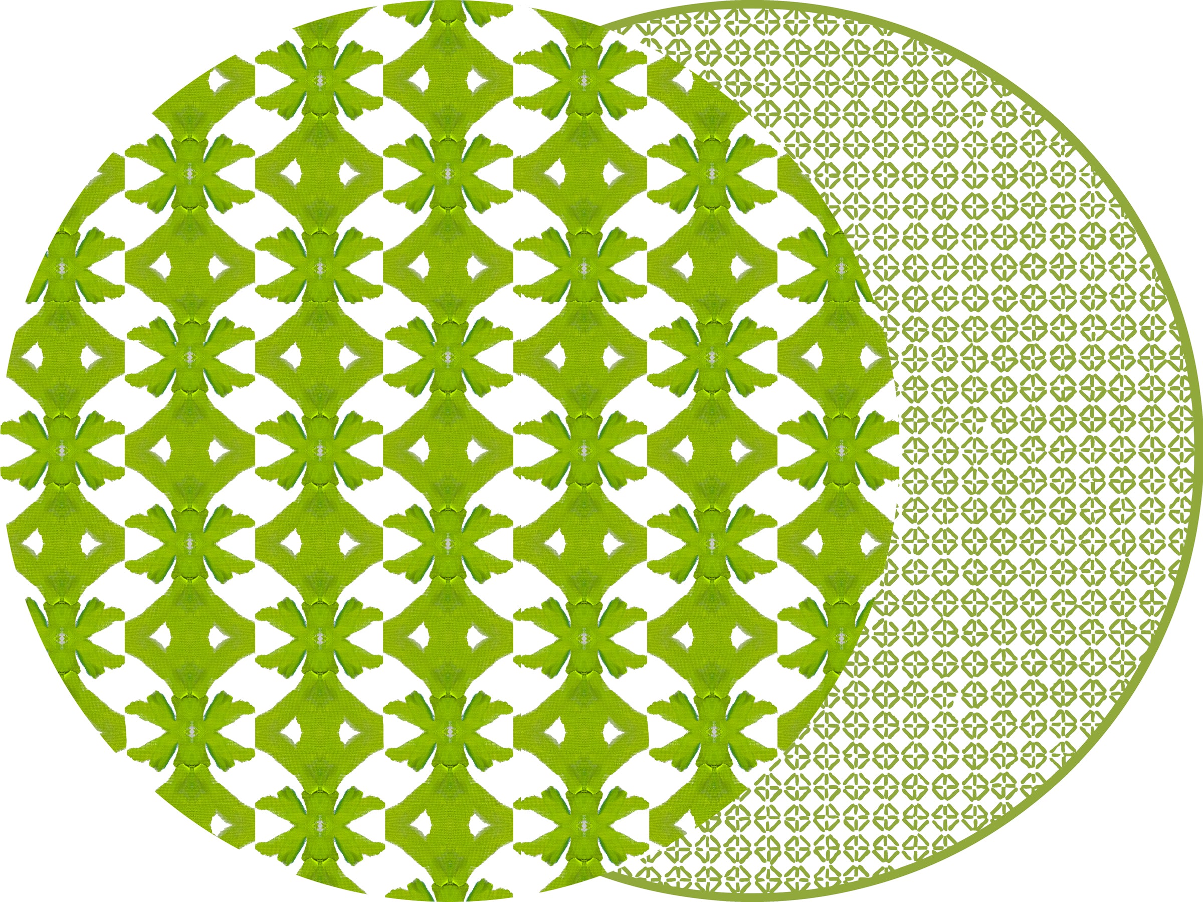 ROUND LAURA PARK ROUND PALM PLACEMATS ~ 2 COLORS